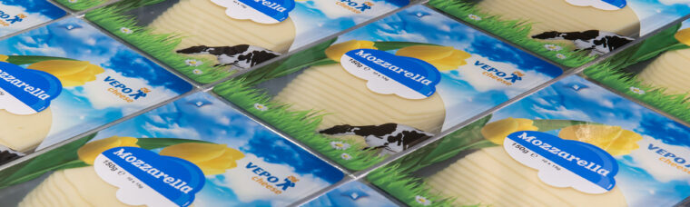 Emmental kaasplakken