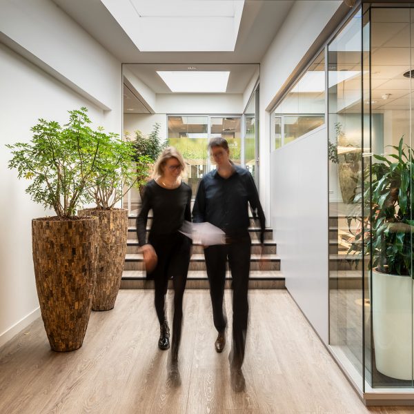 Financial Controller