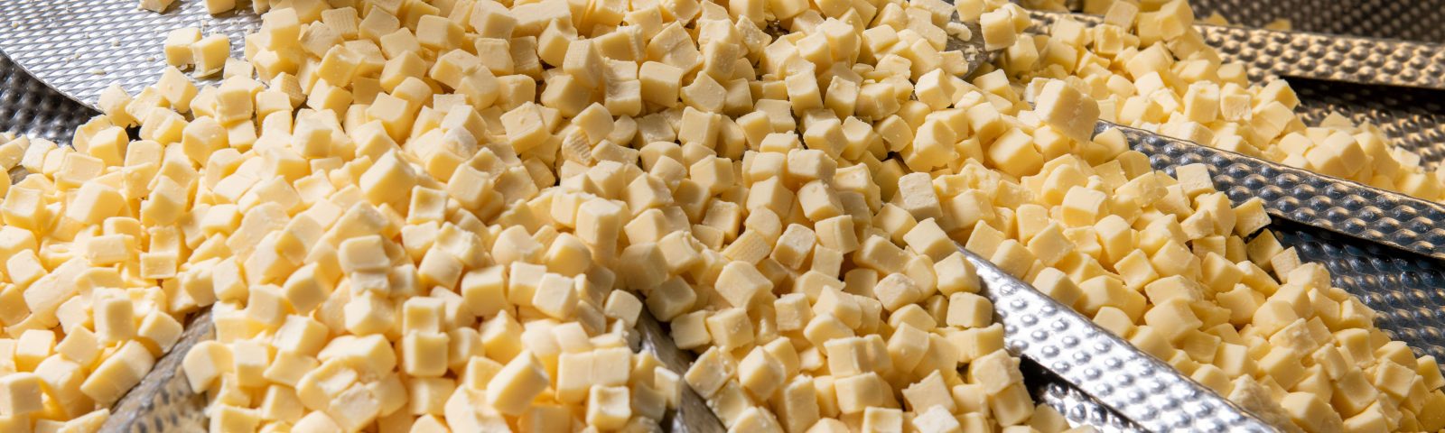 Vepo Cheese brochure EN