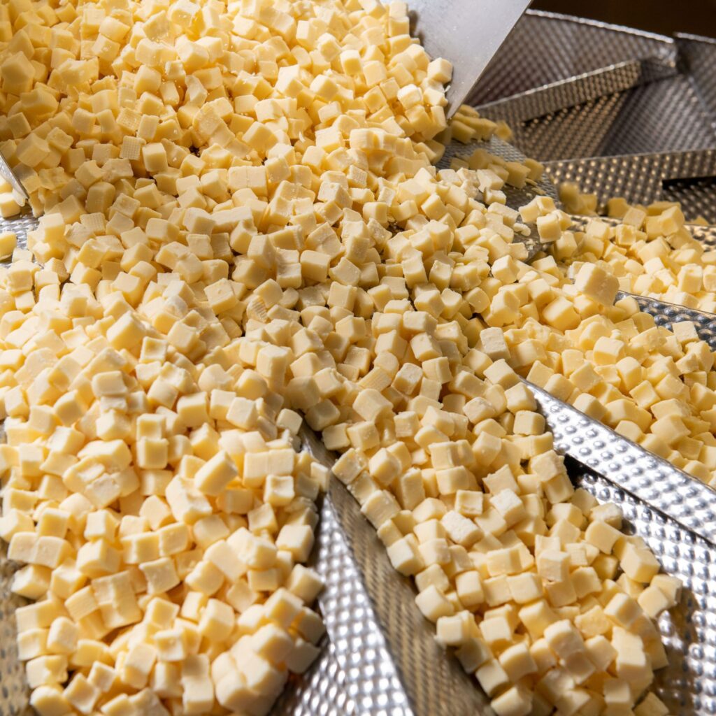 Vepo Cheese brochure NL